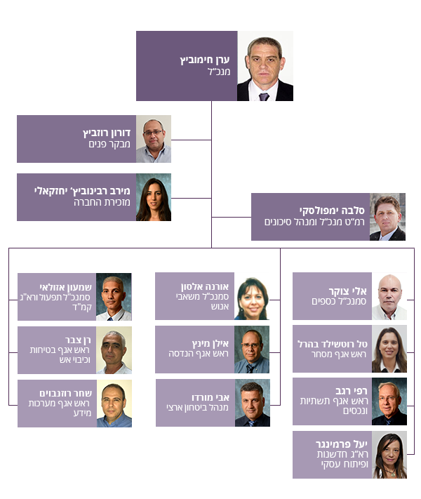 מבנה ארגוני של תשתיות נפט ואנרגיה