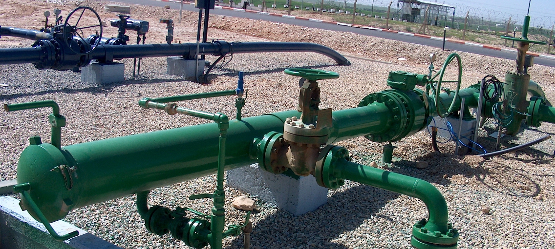 סעפת מגופים