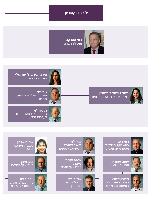מבנה ארגוני של תשתיות נפט ואנרגיה